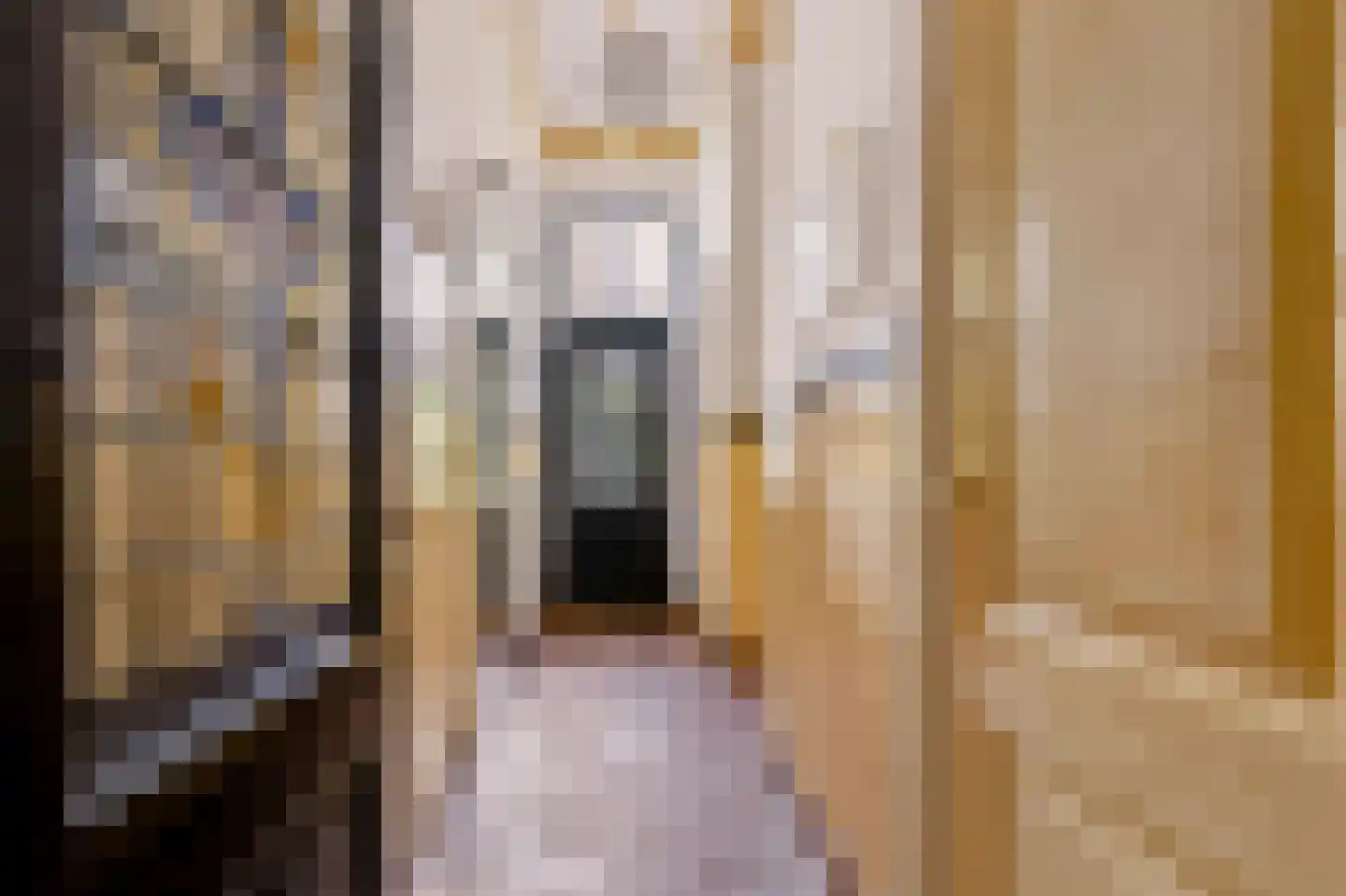 Singel 12 Wijk bij Duurstede thumbnail 41