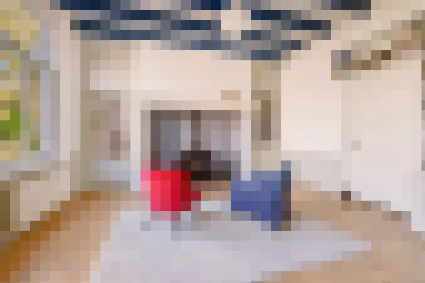 Singel 12 Wijk bij Duurstede thumbnail 45