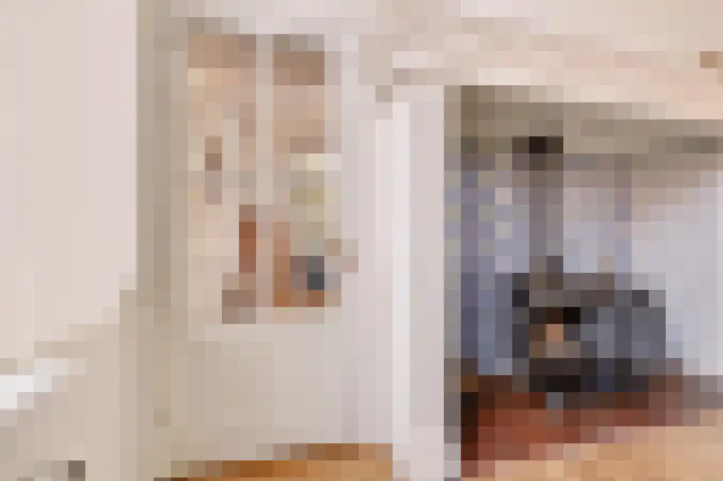 Singel 12 Wijk bij Duurstede thumbnail 46