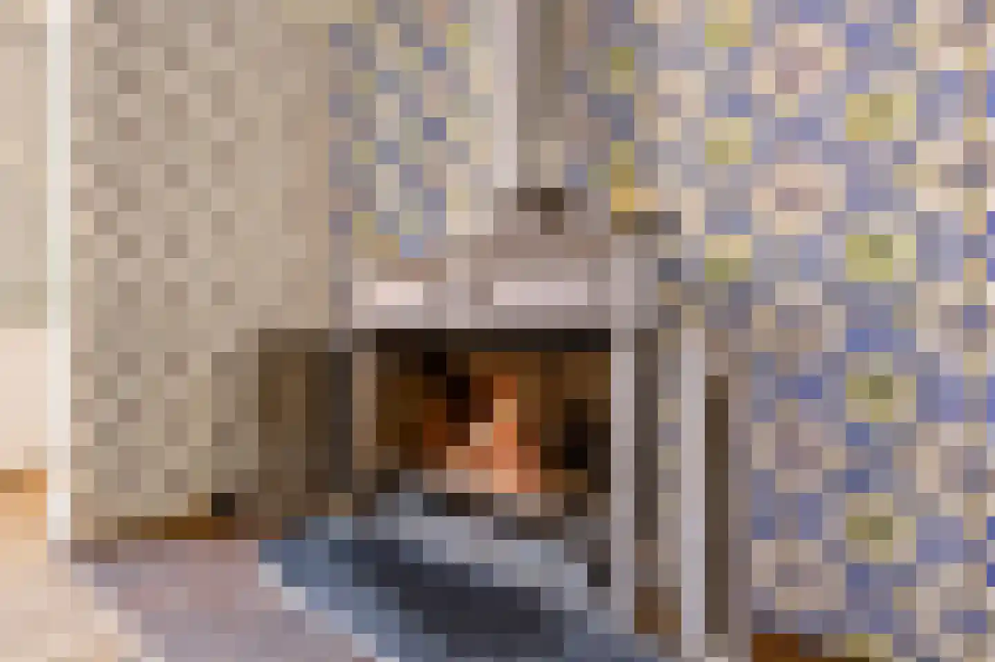 Singel 12 Wijk bij Duurstede thumbnail 47