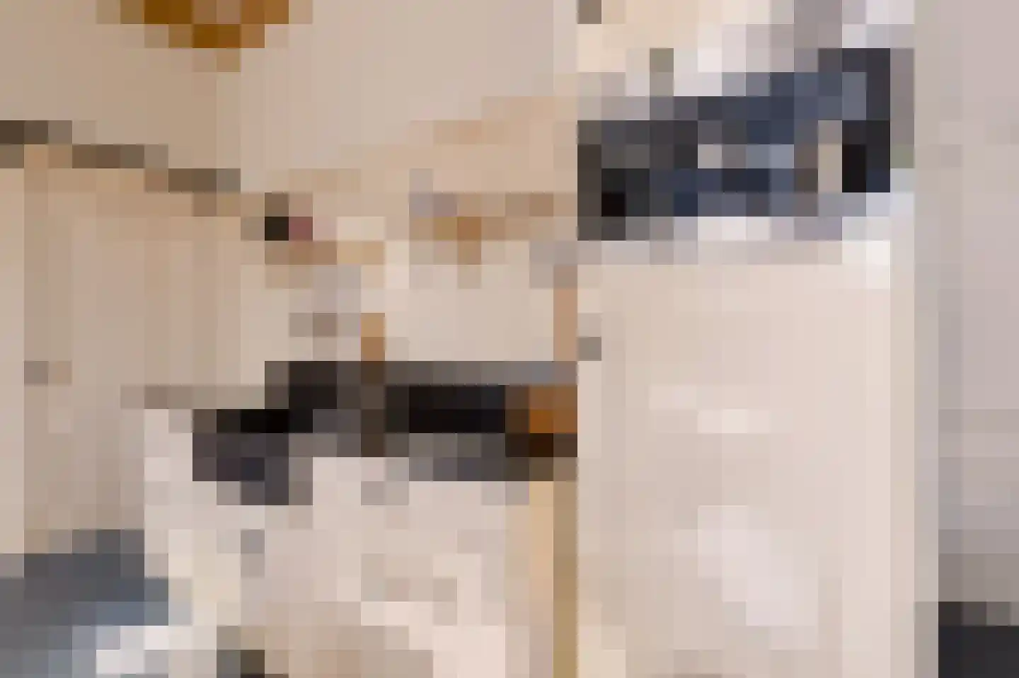 Singel 12 Wijk bij Duurstede thumbnail 56