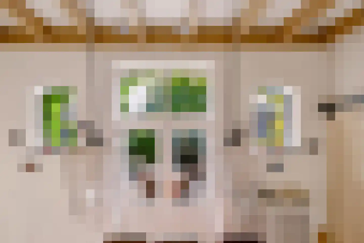 Singel 12 Wijk bij Duurstede thumbnail 57
