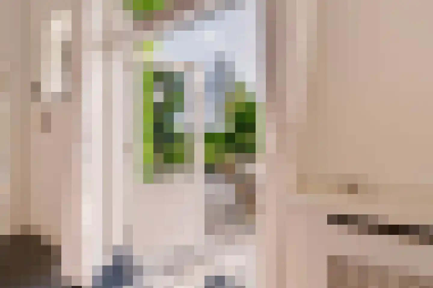 Singel 12 Wijk bij Duurstede thumbnail 58