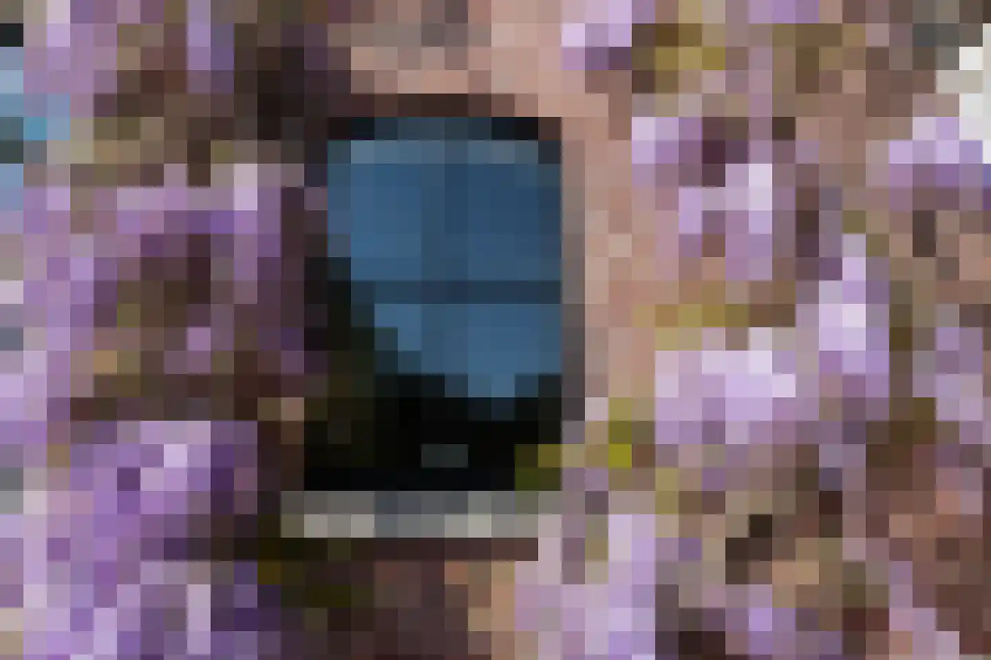 Singel 12 Wijk bij Duurstede thumbnail 60
