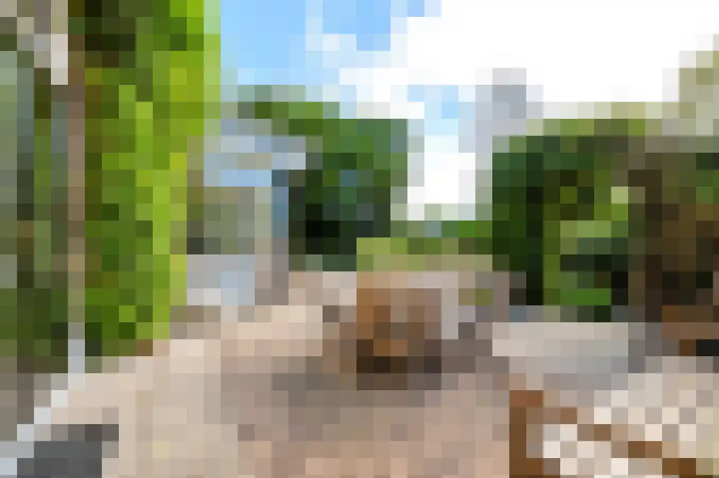 Singel 12 Wijk bij Duurstede thumbnail 61