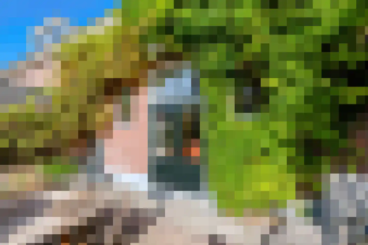 Singel 12 Wijk bij Duurstede thumbnail 62