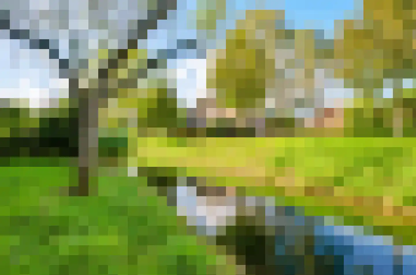 Singel 12 Wijk bij Duurstede thumbnail 7