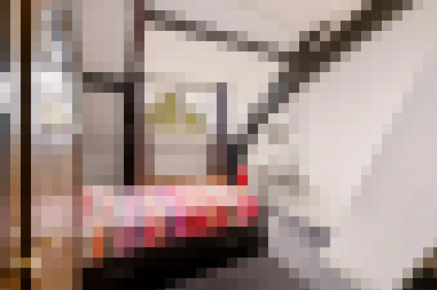 Singel 12 Wijk bij Duurstede thumbnail 73
