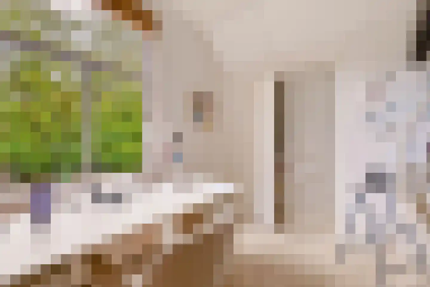Singel 12 Wijk bij Duurstede thumbnail 79