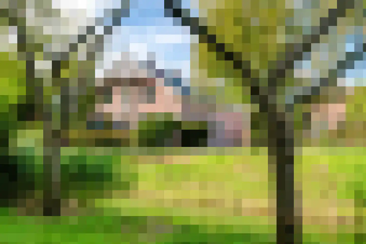 Singel 12 Wijk bij Duurstede thumbnail 8