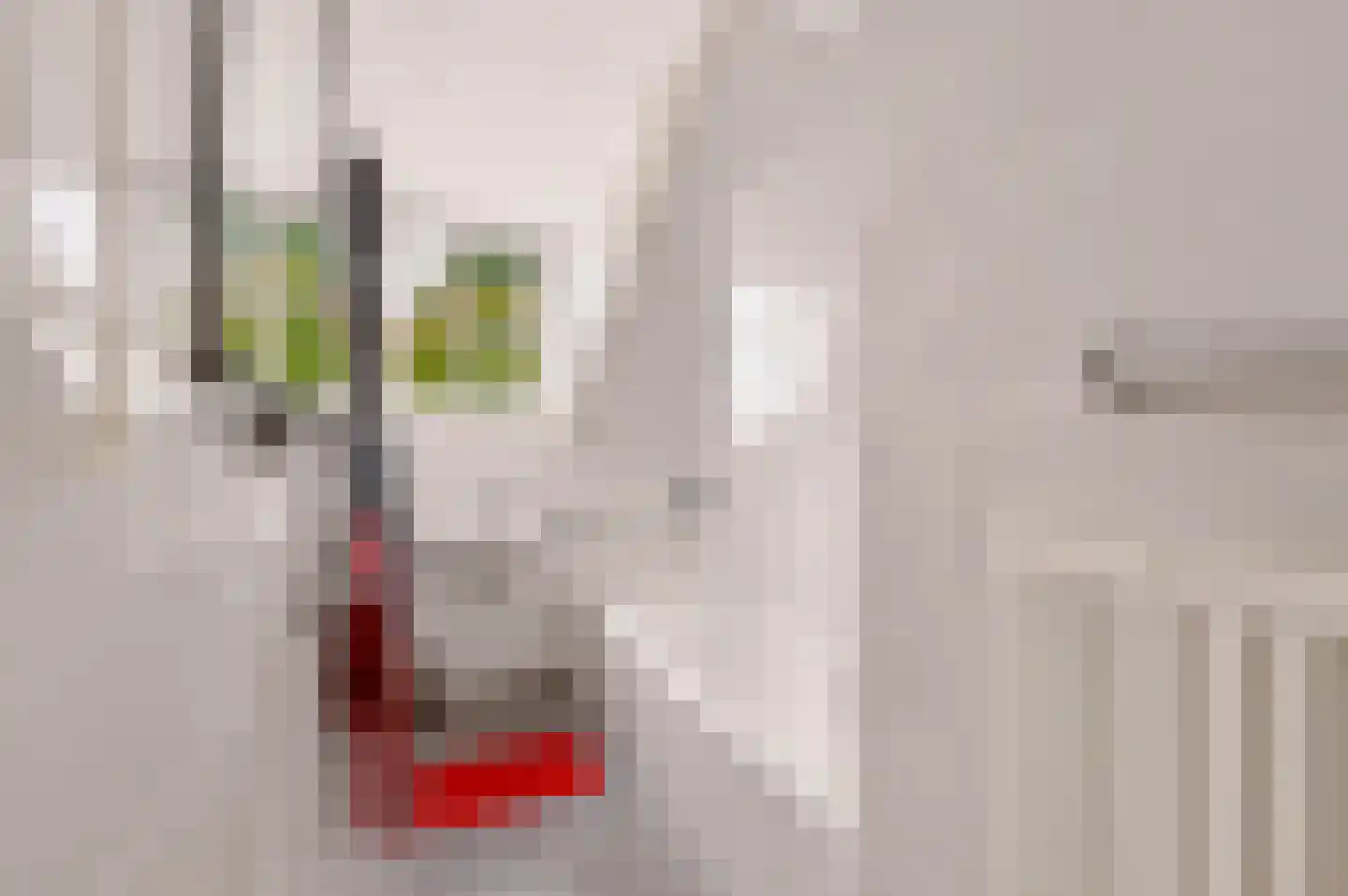 Singel 12 Wijk bij Duurstede thumbnail 80
