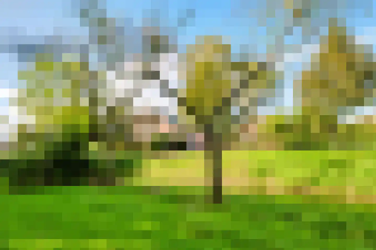Singel 12 Wijk bij Duurstede thumbnail 83