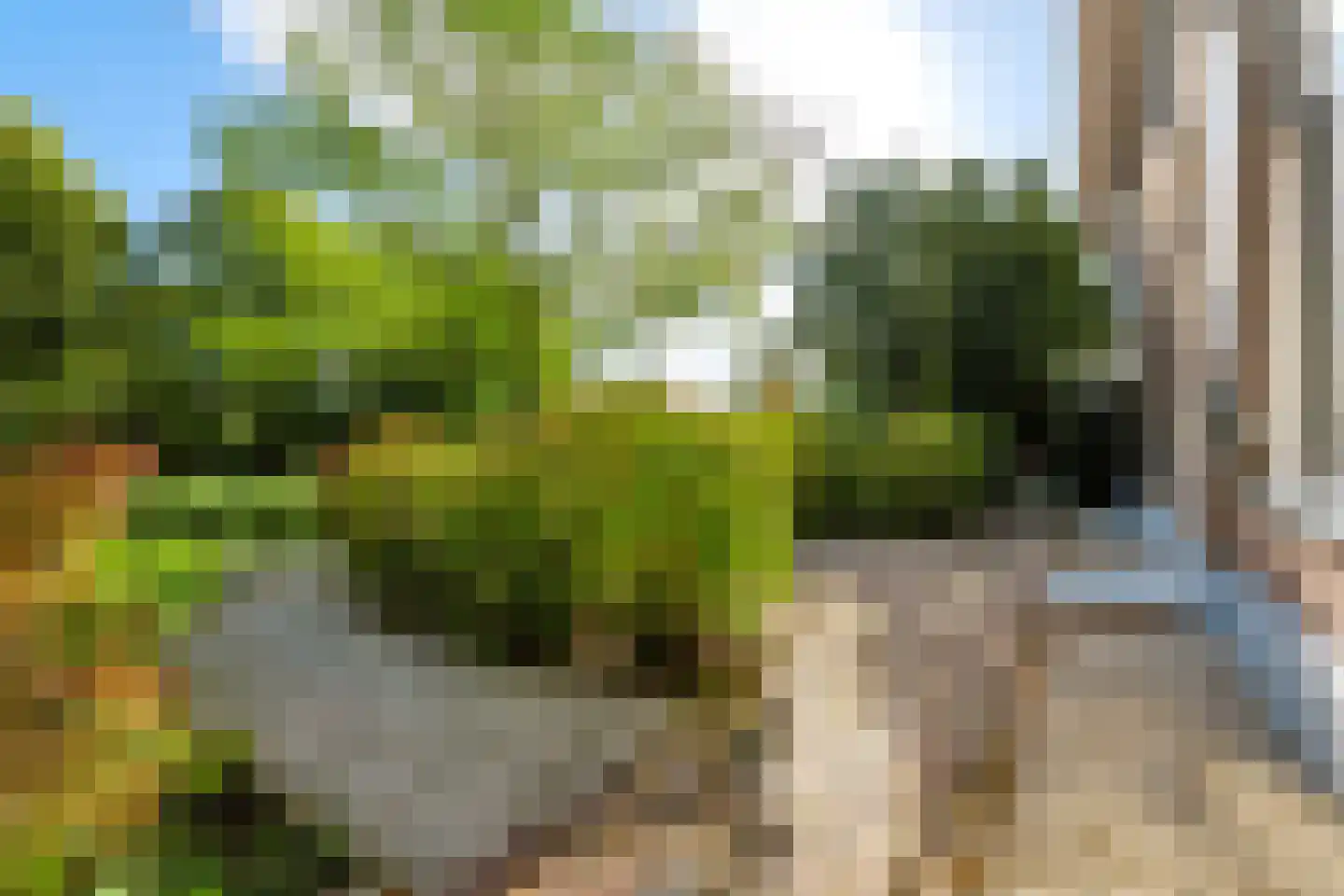 Singel 12 Wijk bij Duurstede thumbnail 85