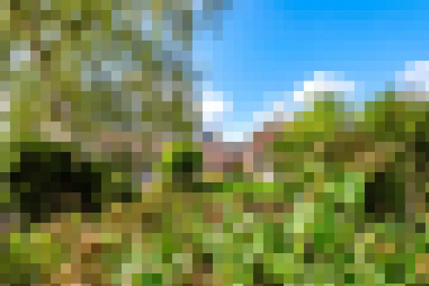 Singel 12 Wijk bij Duurstede thumbnail 87