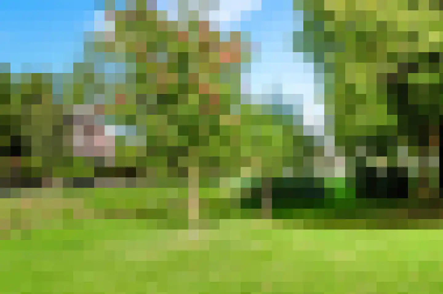 Singel 12 Wijk bij Duurstede thumbnail 9