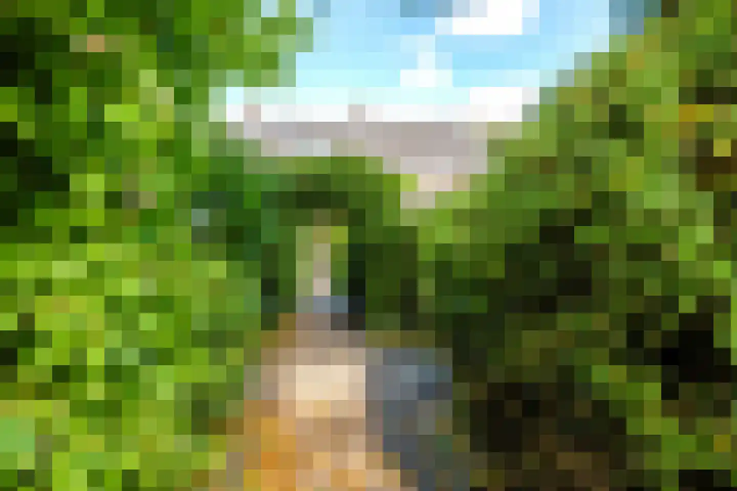 Singel 12 Wijk bij Duurstede thumbnail 90