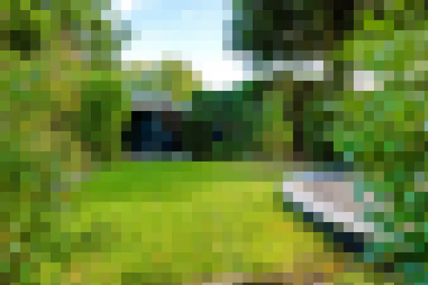Singel 12 Wijk bij Duurstede thumbnail 92