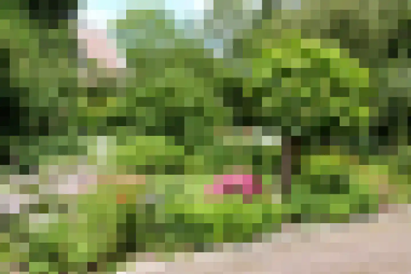 Singel 12 Wijk bij Duurstede thumbnail 94