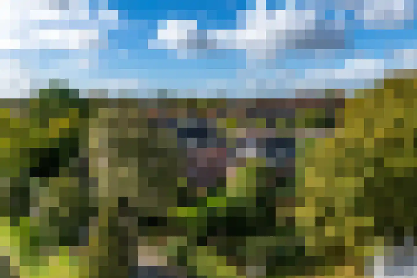 Singel 12 Wijk bij Duurstede thumbnail 96