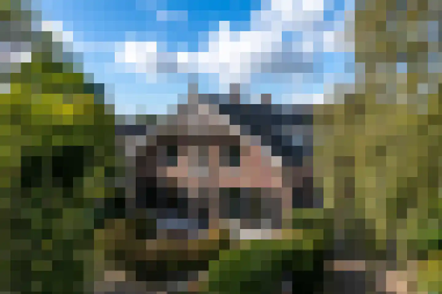 Singel 12 Wijk bij Duurstede thumbnail 97