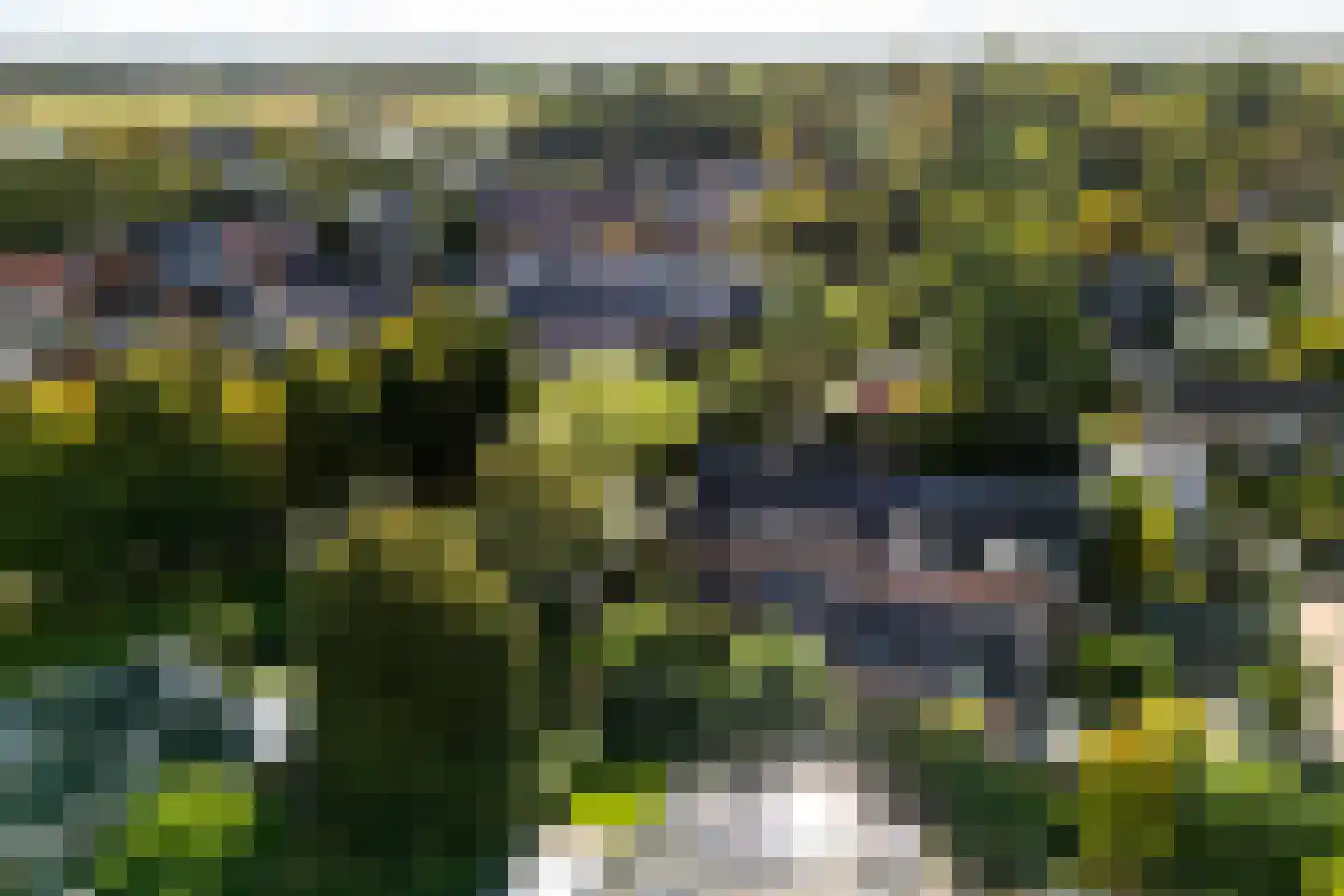 Singel 12 Wijk bij Duurstede thumbnail 99