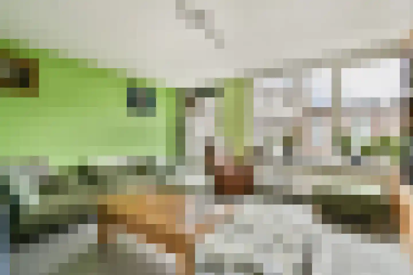 Singel 123 Schiedam thumbnail 15