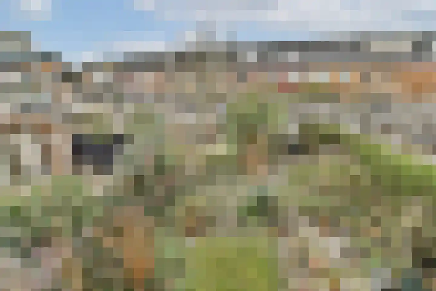 Singel 123 Schiedam thumbnail 19