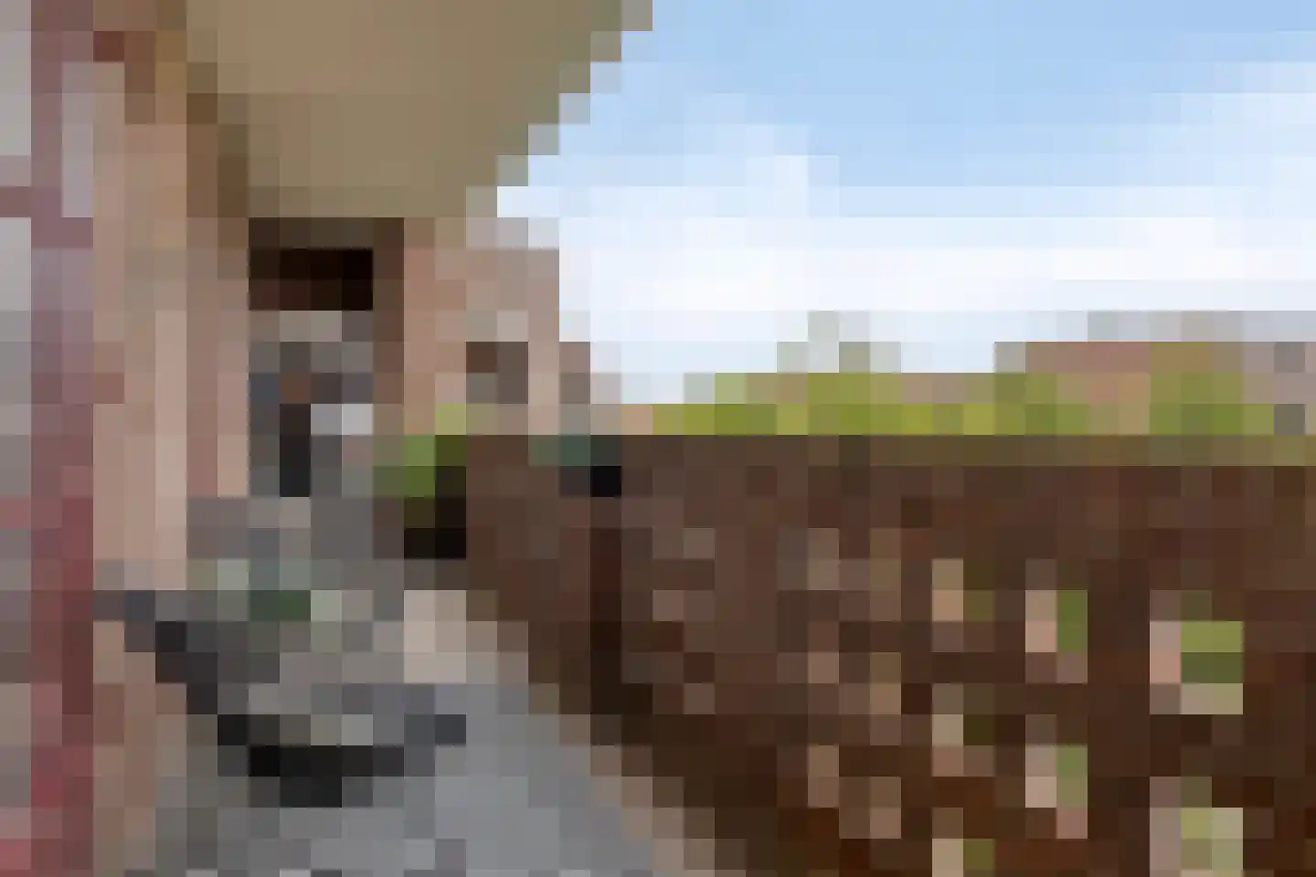 Singel 123 Vlissingen thumbnail 22