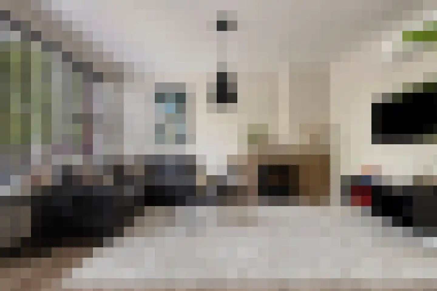 Singel 123 Vlissingen thumbnail 6