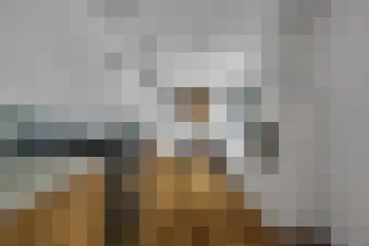 Singel 124 Bussum thumbnail 12