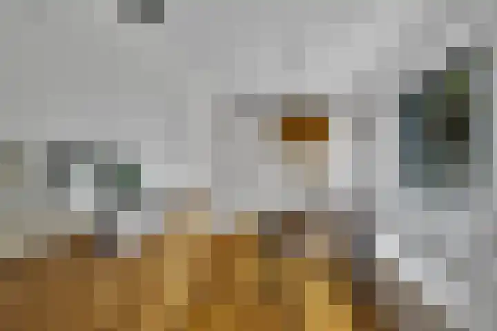 Singel 124 Bussum thumbnail 14