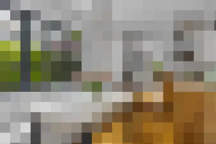 Singel 124 Bussum thumbnail 15