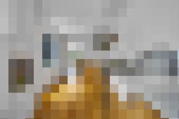 Singel 124 Bussum thumbnail 17