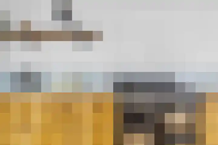 Singel 124 Bussum thumbnail 18