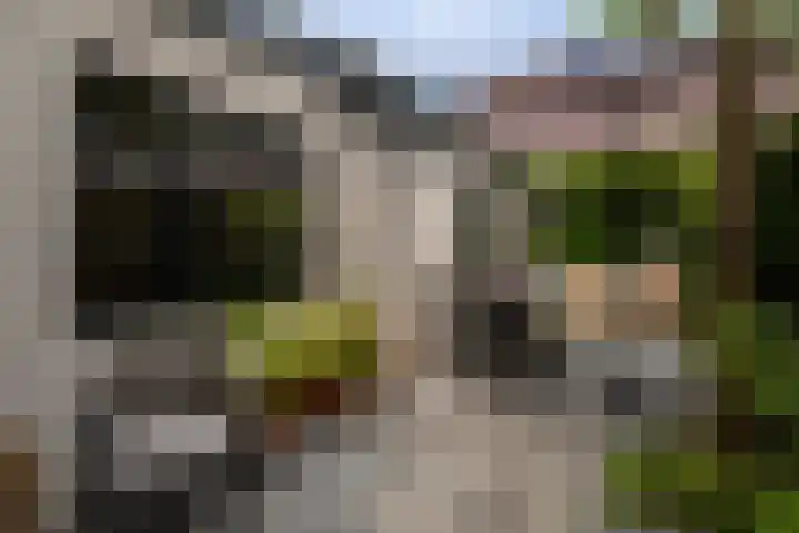 Singel 124 Bussum thumbnail 22