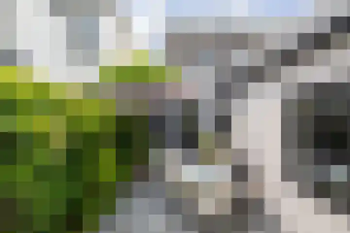 Singel 124 Bussum thumbnail 24