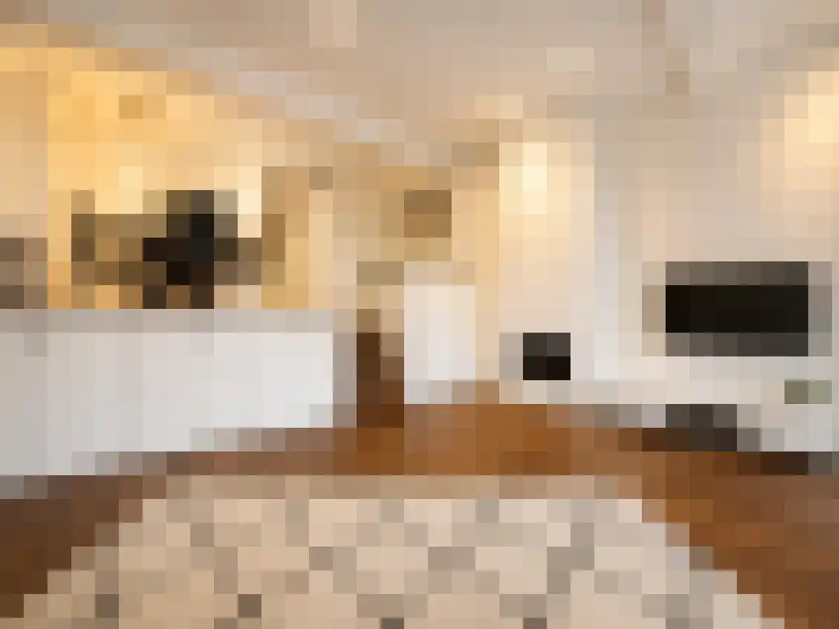 Singel 125 Amsterdam thumbnail 5