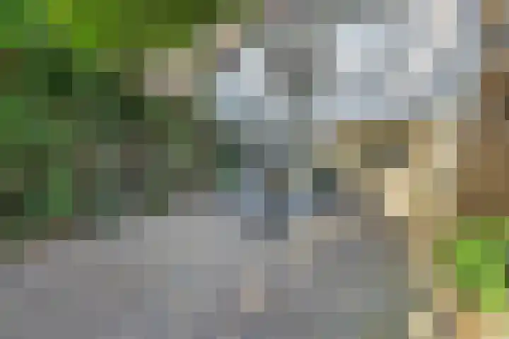 Singel 13 A Schiedam thumbnail 16