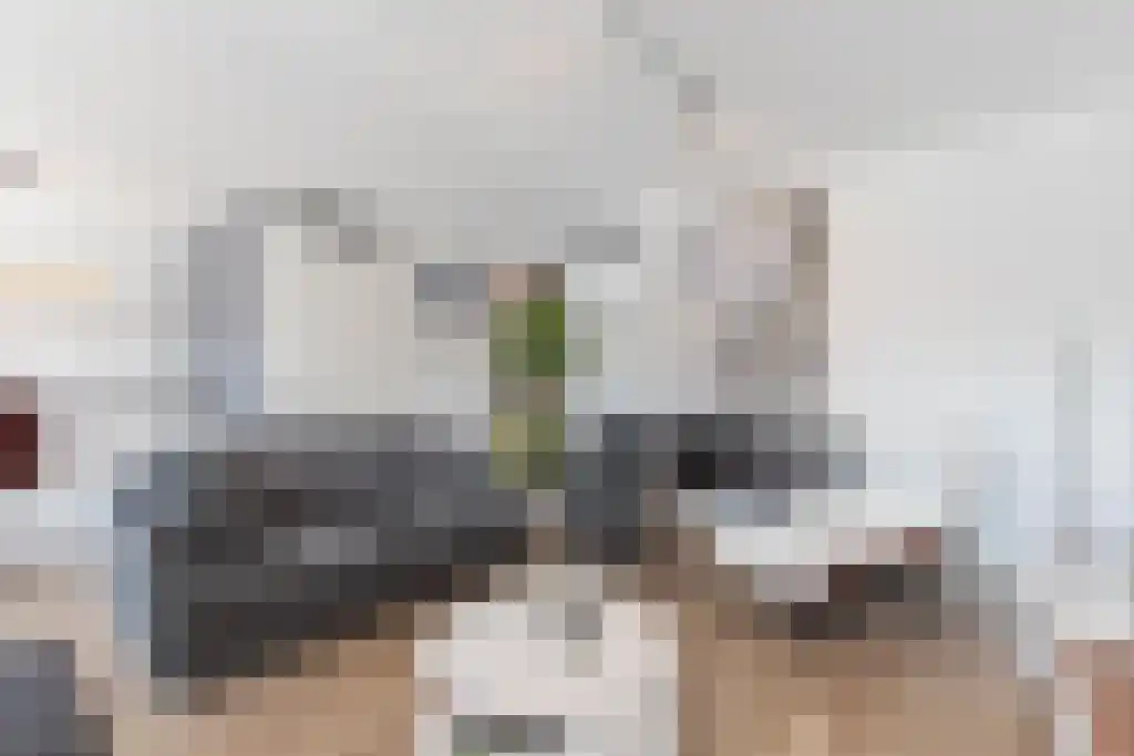Singel 13 Kortgene thumbnail 10