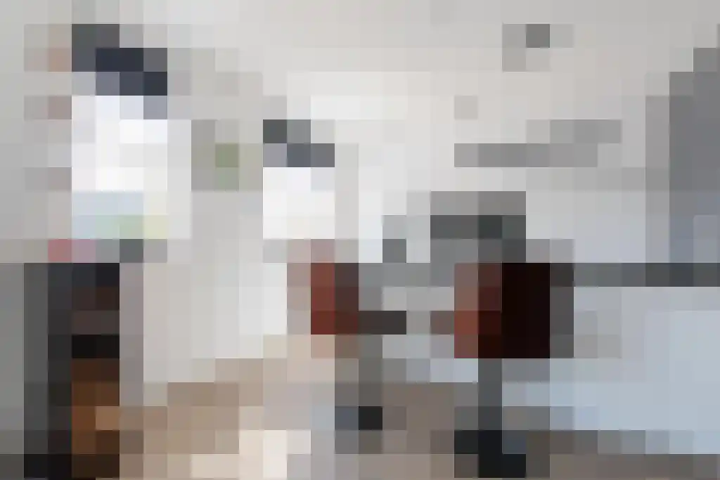 Singel 13 Kortgene thumbnail 15