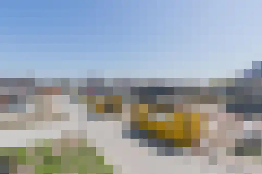 Singel 13 Kortgene thumbnail 15