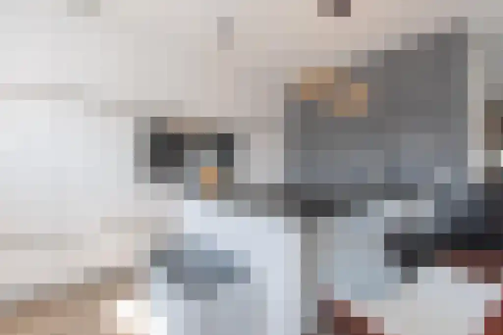 Singel 13 Kortgene thumbnail 16