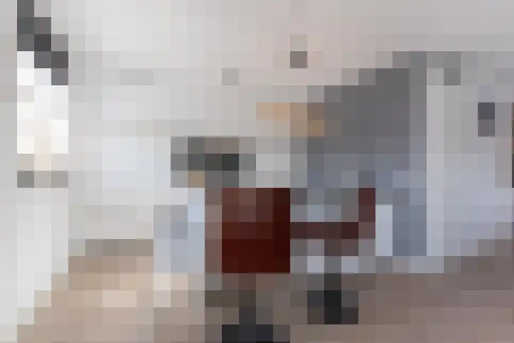Singel 13 Kortgene thumbnail 16