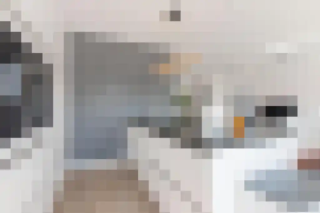 Singel 13 Kortgene thumbnail 17