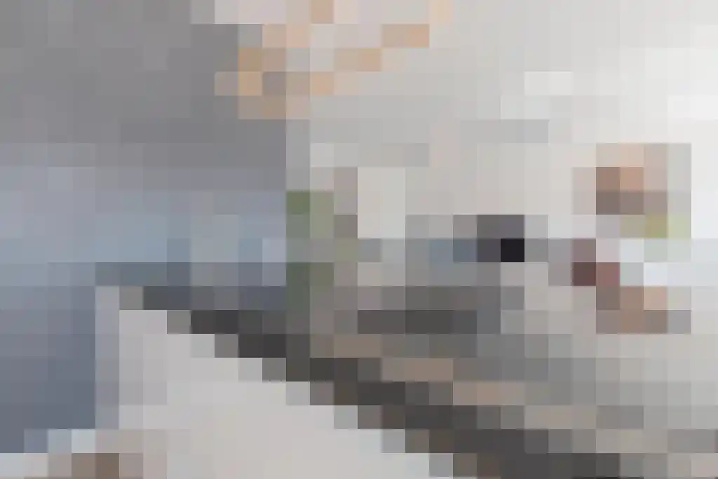 Singel 13 Kortgene thumbnail 18