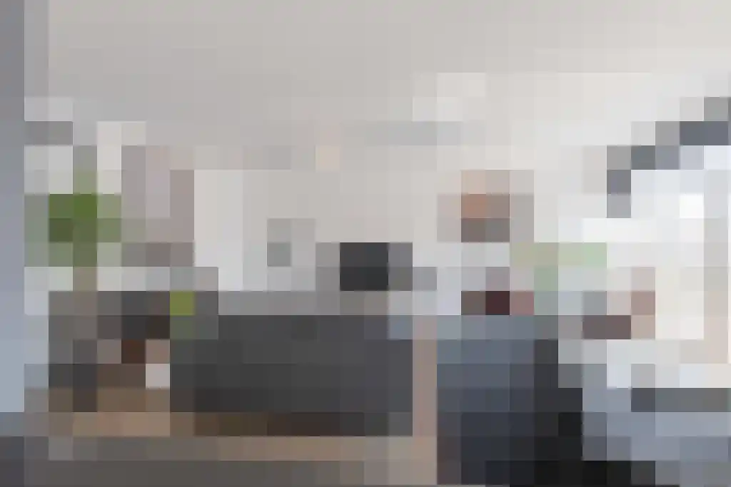 Singel 13 Kortgene thumbnail 20