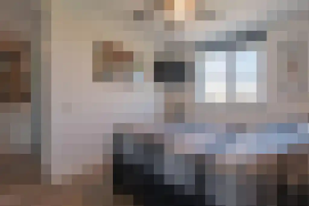 Singel 13 Kortgene thumbnail 22