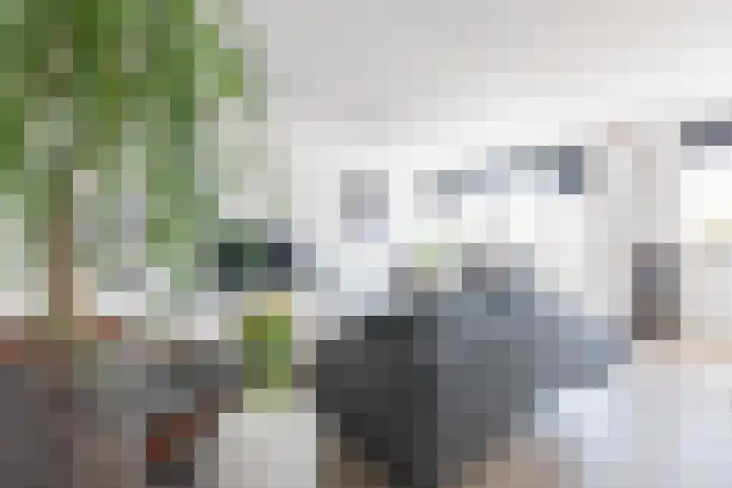 Singel 13 Kortgene thumbnail 6