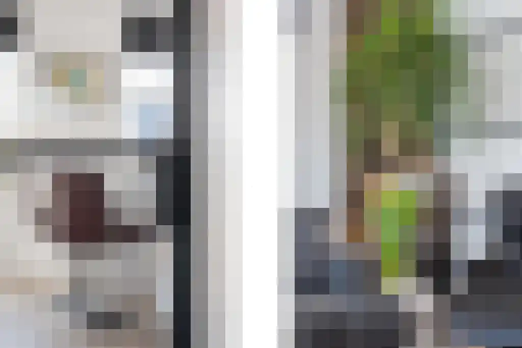 Singel 13 Kortgene thumbnail 7