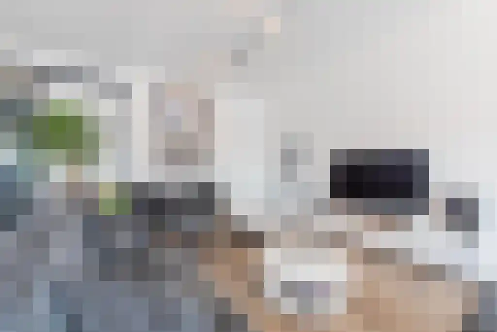 Singel 13 Kortgene thumbnail 9